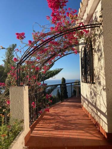 Villa House In Andalucia, Spain