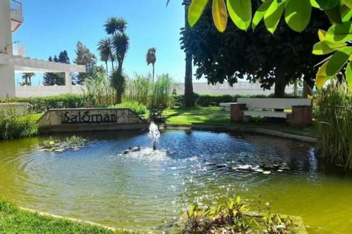 Apartamento Oasis Salomar 2000