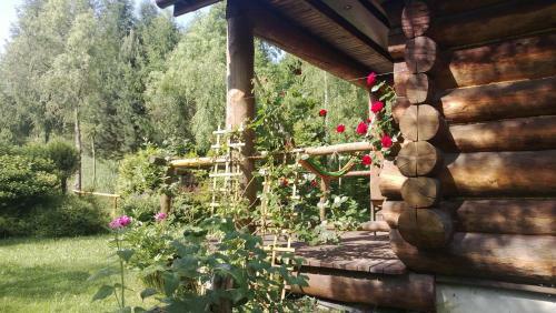 Agroturismo Amig�wka