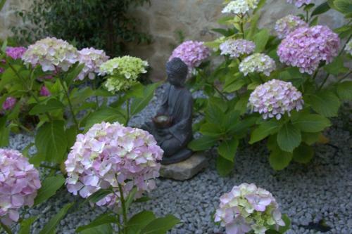 Bed & Breakfast Quinta Japonesa