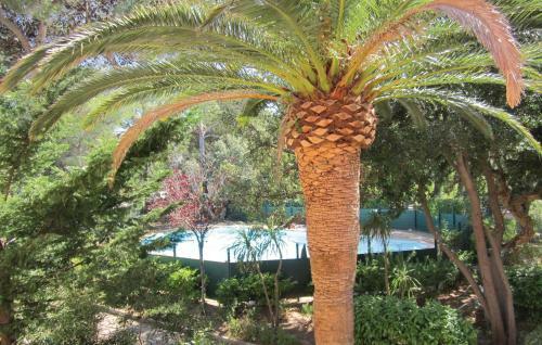 Apartment Boulevard Hamon