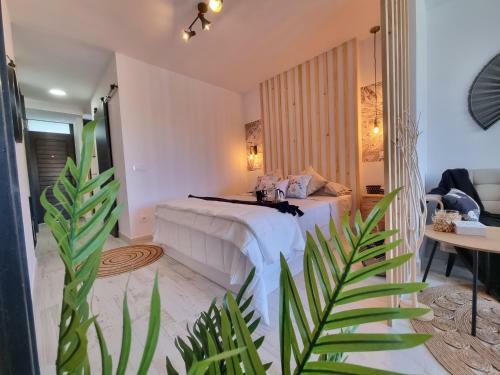 Top Apartament Playa Del Ingles