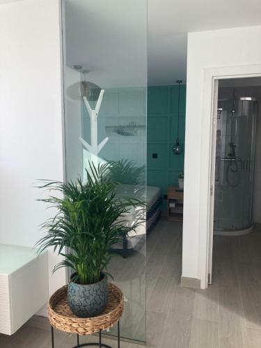 Apartamento Vv Testeina 40