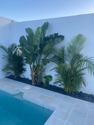 Villa Cap-canaria Fkk