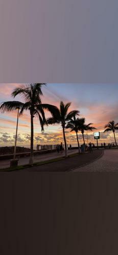 Apartamento Oasis Palmeras 4