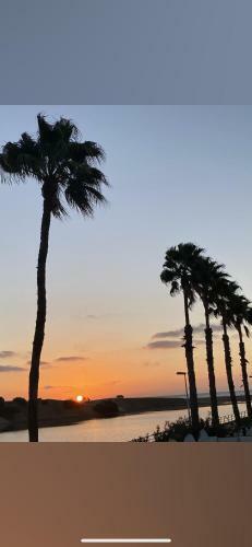 Apartamento Oasis Palmeras 4