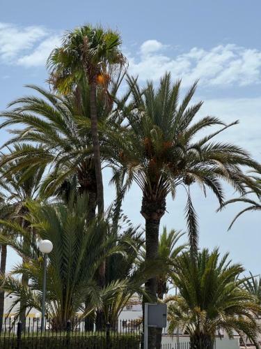 San Agustin Apartments , Close To The Beach, With Pool!