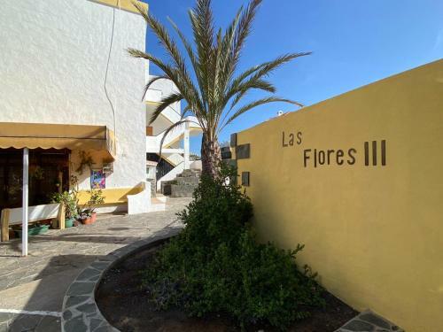 San Agustin Apartments , Close To The Beach, With Pool!