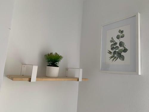 Hostal Sagunto 2