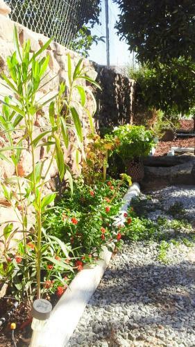 Agroturismo Casa Rural El Portalino