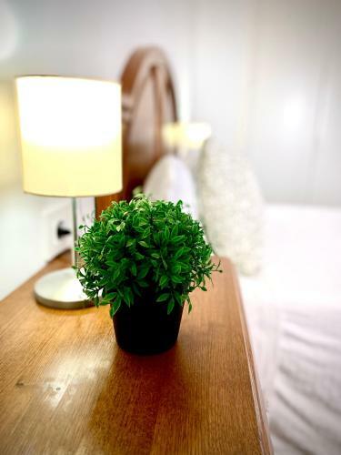 Mychoice Espejos Del Sol By Bossh! Apartments