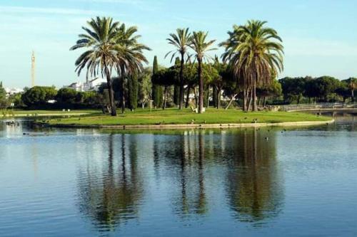 Apartamento En Costa Ballena A 50 Metros Playa.
