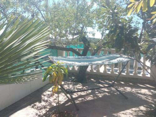 Els Rosers - Con Jacuzzy Xl Y Barbacoa