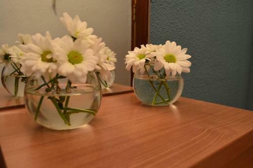 Apartamento Domus Salamanca Edisson