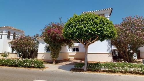 Villa Paloma - A Murcia Holiday Rentals Property
