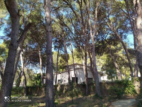 Villa Masia Del Roc De Sant Caieta