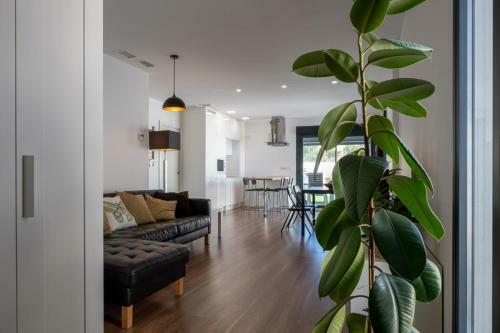 At501 Mas Roig