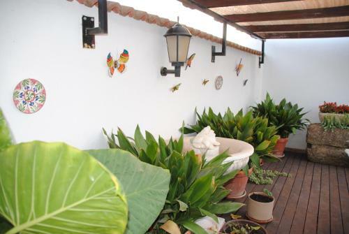 Casa La Pech�, Ronda (m�laga)