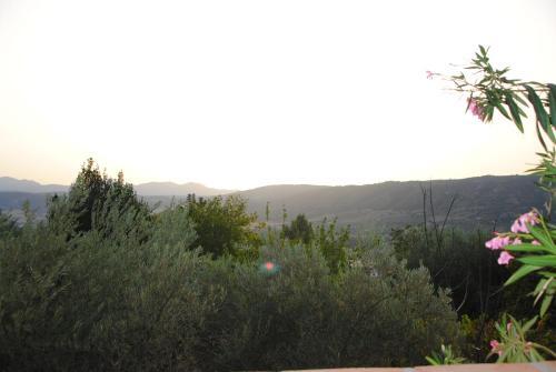Casa La Pech�, Ronda (m�laga)