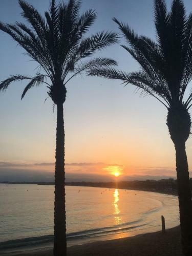 Apartamento For A Stay Altair Mar