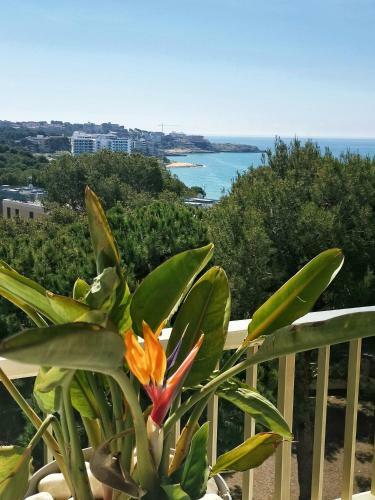 Apartamento Con Vistas Al Mar