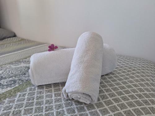Apartamento Con Piscina
