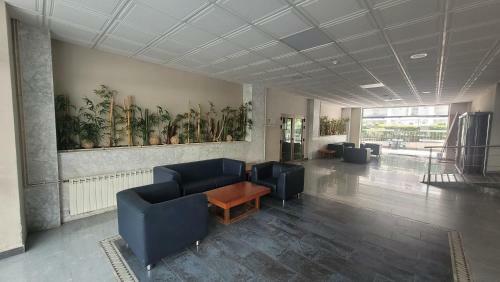 Platan Apartment