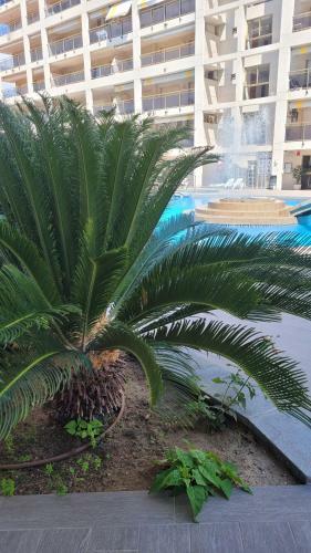 Platan Apartment