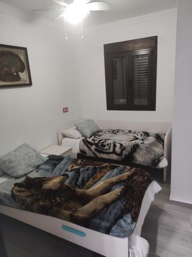 Apartamentos Daniela 2