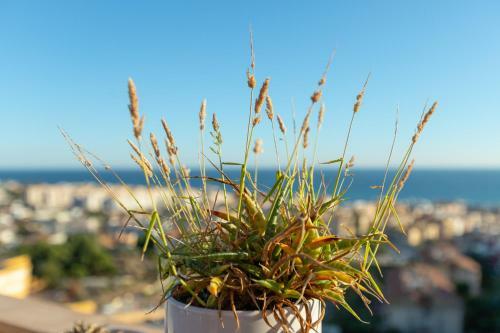 Apartamento Atico Gran Sol - Adults Only