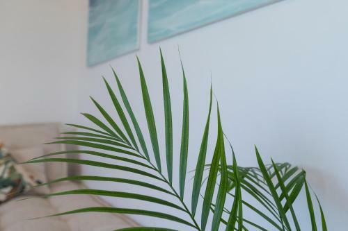 Apartamento Atico Gran Sol - Adults Only