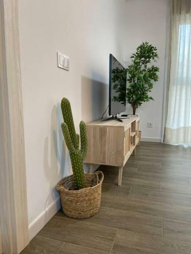 Lovely Beach Apartment