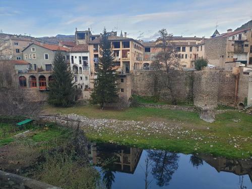 Apartamento C�ntric Ripoll