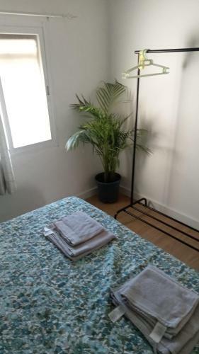 Apartamento La Mina