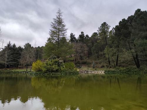 Caba�a Los Chorros
