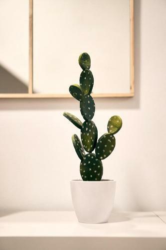 Apartamento Cotton Cruz Verde