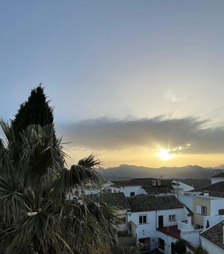 Apartamentos Abeto