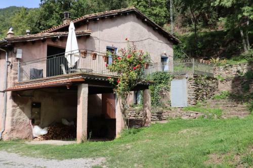 Llevant, El Mol� De La Plana