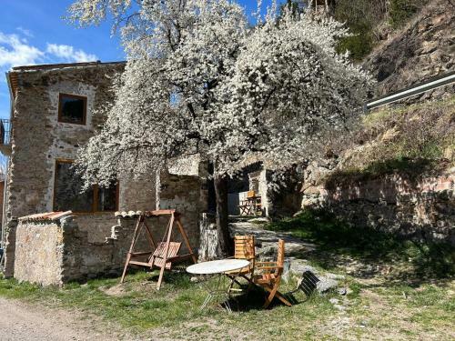 El Mol� - Apartament Torreneules