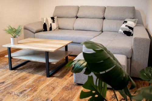 El Mol� - Apartament Torreneules