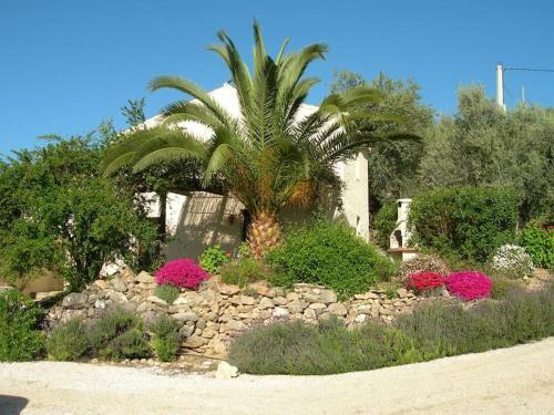 Villa La Molina Del Olivar - Peaceful Location