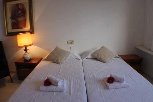 Agi Villa Cibeles
