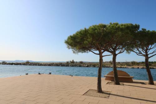 Apartamento Pi Y Sunyer 8 4 - Estudio A 50 M De La Playa