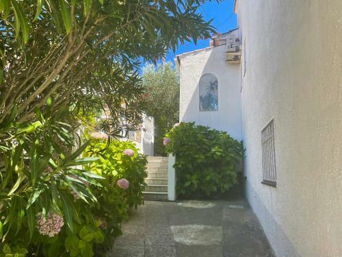 Casa Pindar