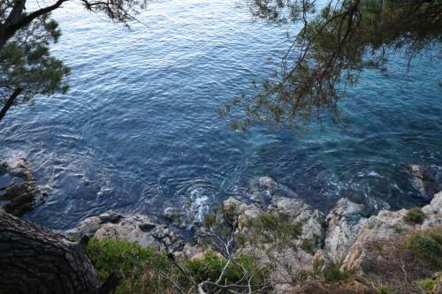 Apartamento Cap Norfeu 60