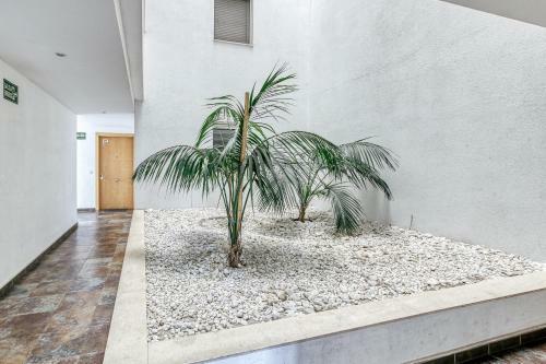 Apartamento Aquamarina 103