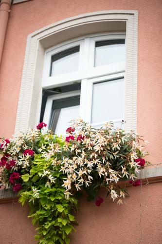 Hotel Alte Mark