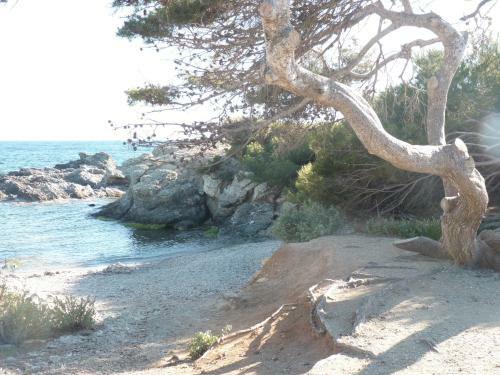 Bed & Breakfast La Villa Du Petit Port