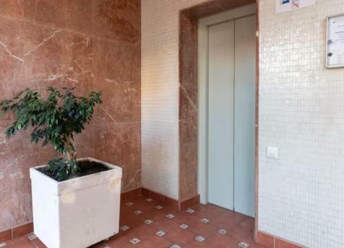 Apartamentos Playa Caballo Blanco