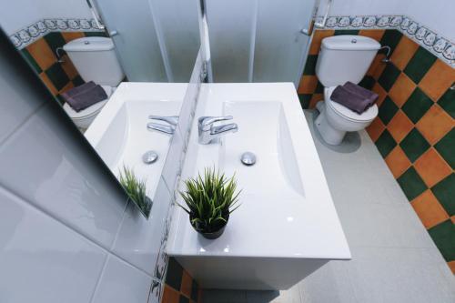 Apartamento New Queens 2b Planetcostadorada
